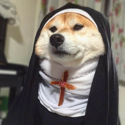 Holybark 1